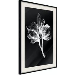 Arkiio Affisch Night Flower [Poster] 30x45 Poster